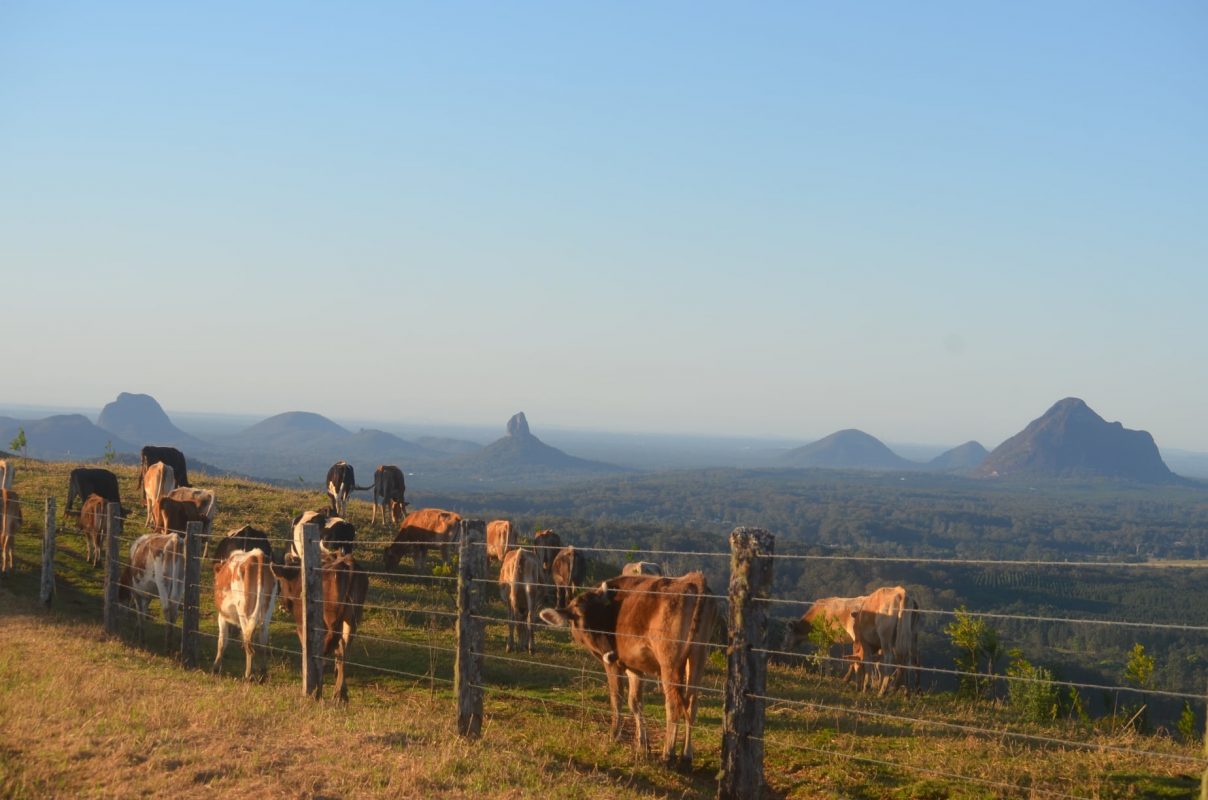 Maleny Commerce